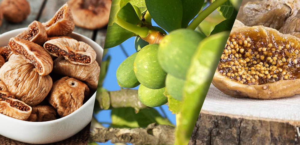 dry-fig-export-turkey