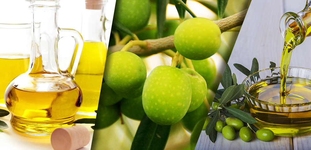 olive-oil-olive-export-turkey